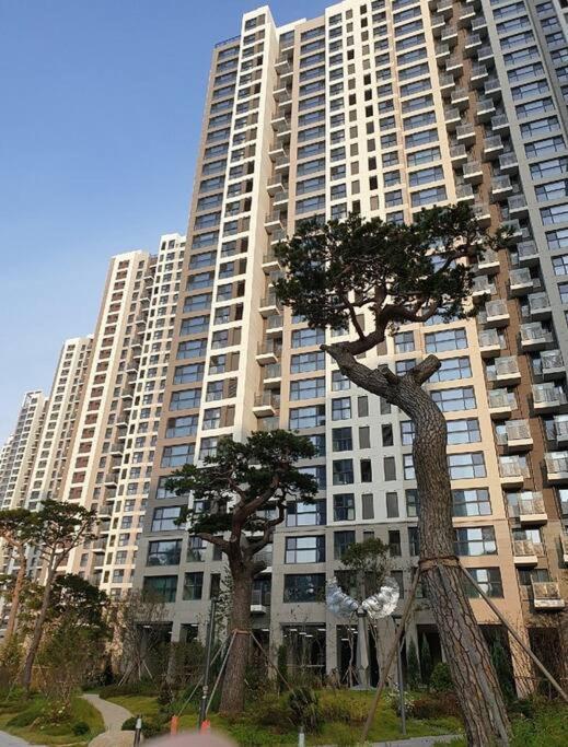 - 3bed New Apartment
